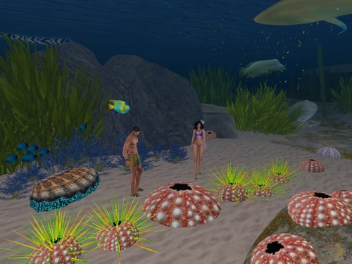 Web 57be997ee85cda277e000001