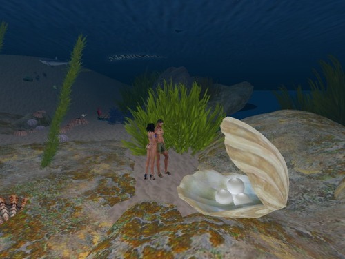 Web 57be9991e85cda2a76000001