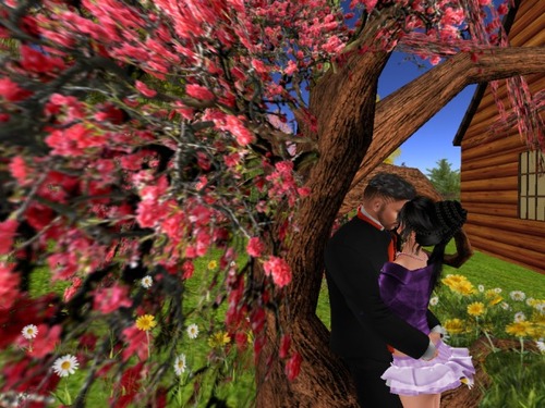 Web 57e8c62bb015401771000001