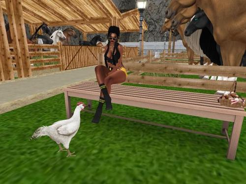 Web 59402707289dd23fef000001