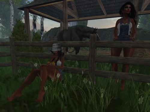 Web 59418b9f289dd214b5000001