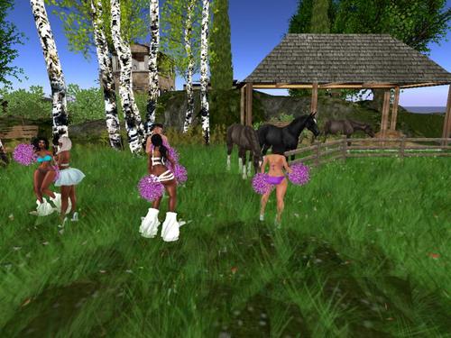 Web 594427ddd9859c2895000001