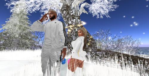 Web 5a37755973ed175b17000001