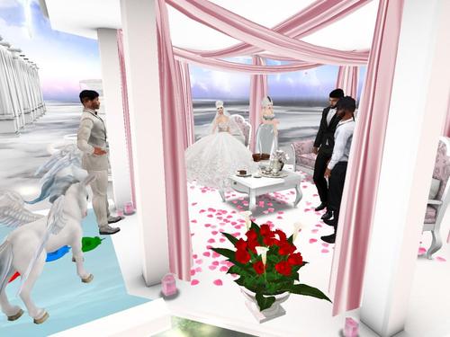 Web 5abd0903289dd218c8000001