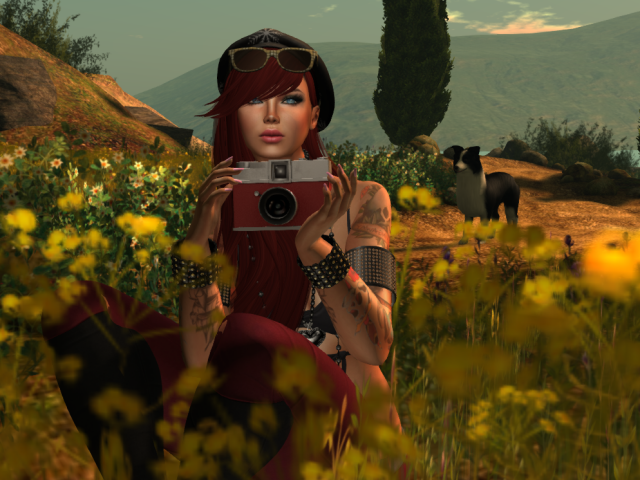 Original 56f28d33f8a1ec4d48000001