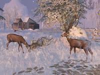 Small 5ddde376d9859c10c466499d