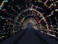 Small 5df30425d9859c73d4ecc72e