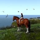 Thumb 5a3148e7d774f86de0000001