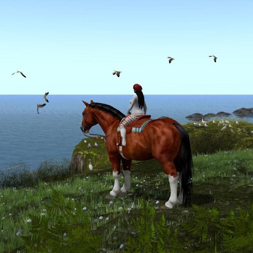 Web 5a3148e7d774f86de0000001