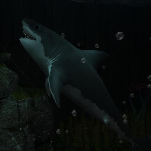 Web 5d370891d774f82f51000001