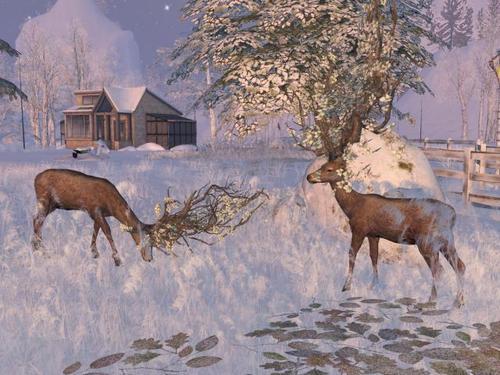 Web 5ddde376d9859c10c466499d