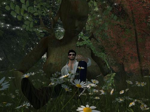 Web 618b4062df72f868636721b4