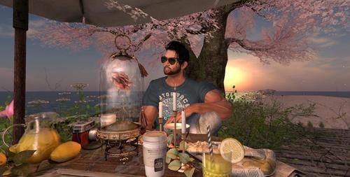 Web 628a236a98366d1e55423edf