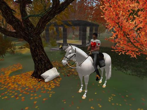 Web 5cd8e4c2d9859c6765000001