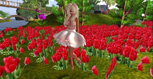 Web 56426a71f8a1ec7e25000001