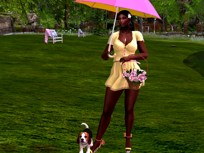 Original 5cc16076d774f83dcc000001