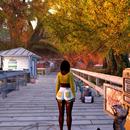 Thumb 5ca7991373ed1731c1000001