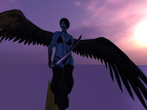 Web 5c90ac5a289dd2196d000001