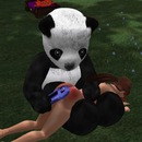 Thumb 5610af52f8a1ec77c0000001