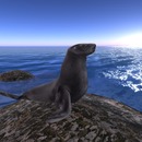 Thumb 58c25fe8b713f77f51000001