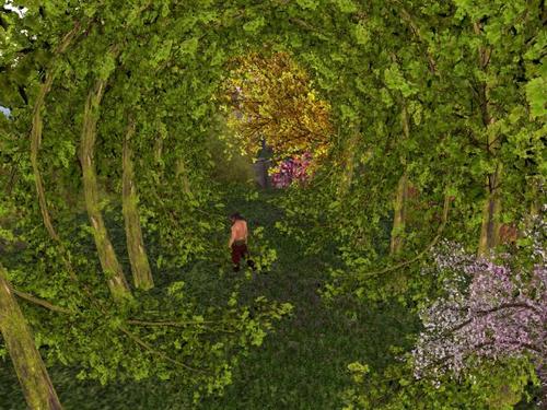 Web 593a788c73ed170db6000001