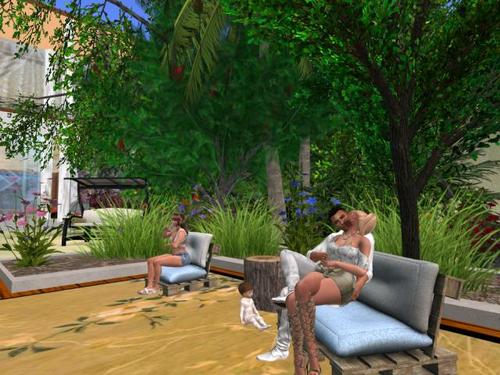 Web 5b4cfe50d774f87eea000001