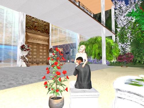 Web 5b57793573ed17268a000001