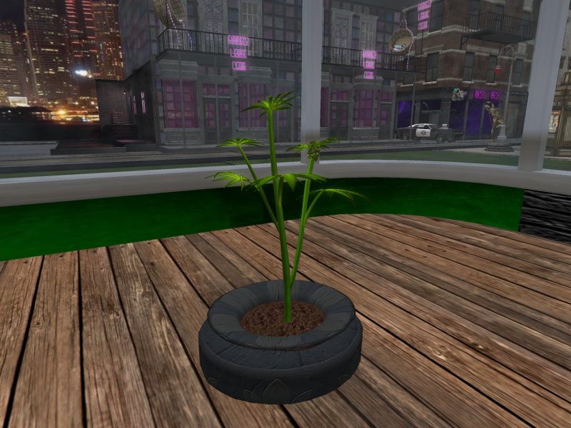 Original 6036ade5b8dd6f0665206df1