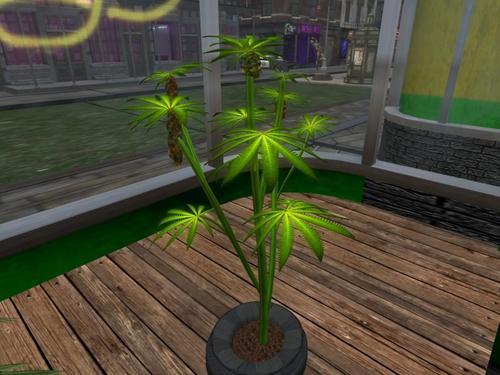 Web 603f962d2effc33b78eb3e7b