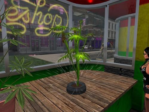 Web 60453a62bae4a32578b73324