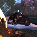 Thumb 578c3b0ab015404649000001