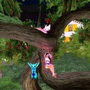 Thumb 55c55dc3a73e217715000001