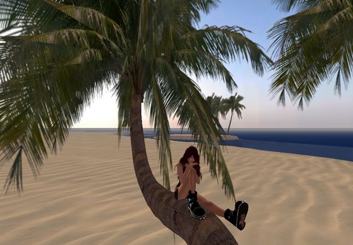 Web 55bb84648da57264bf000001