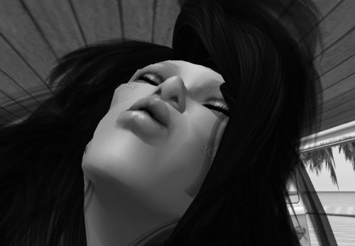 Web 55bd5f5df8a1ec431b000001