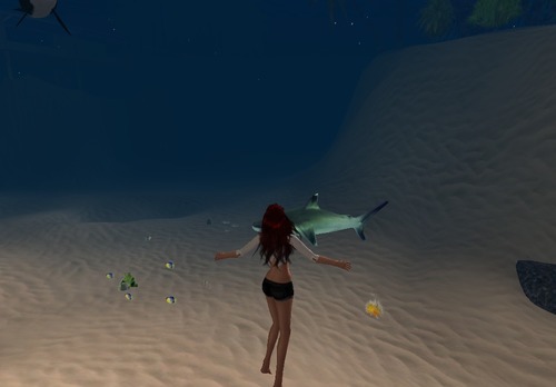 Web 55c55785128cc91fa1000001