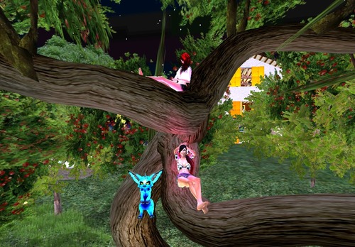 Web 55c55dc3a73e217715000001