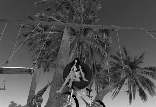 Web 55d0a5f6a73e212ca2000001