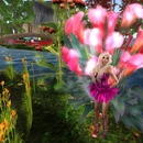 Thumb 557d2925a73e213bcd000001