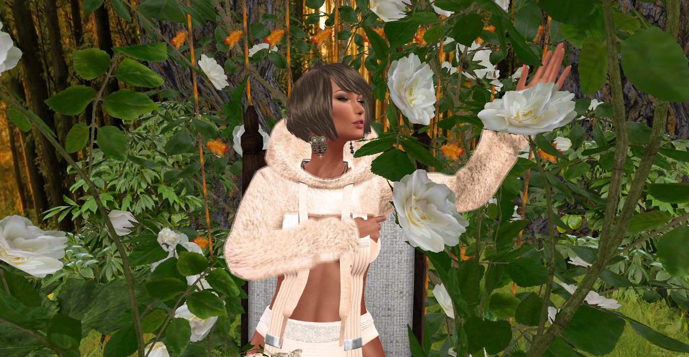 Original 58bfc015e85cda547e000001