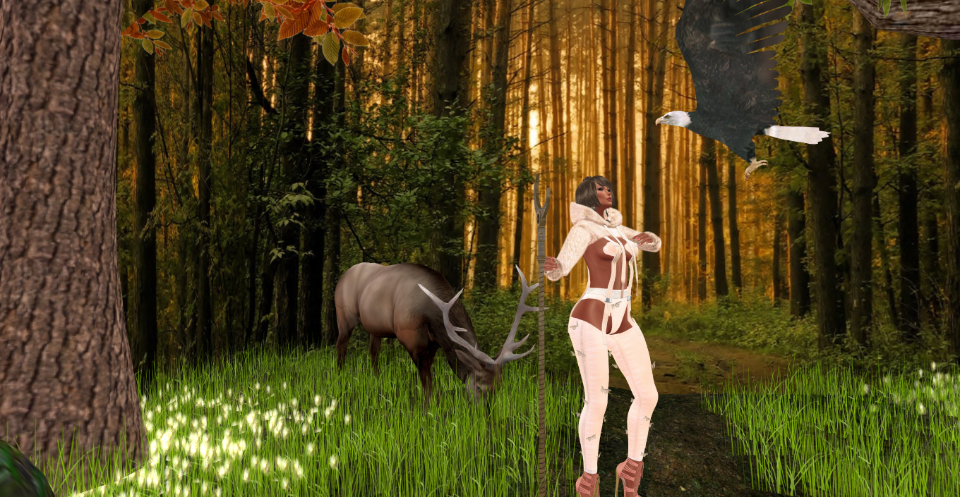 Original 58bfc087e85cda568b000001