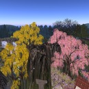 Thumb 58bd645be85cda1cd5000001