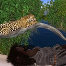 Thumb 58bddce5e85cda1c42000001