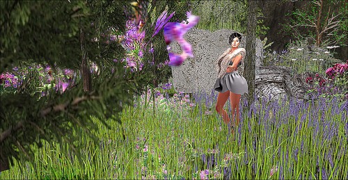 Web 58b6aafae85cda04ee000001