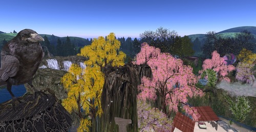 Web 58bd645be85cda1cd5000001