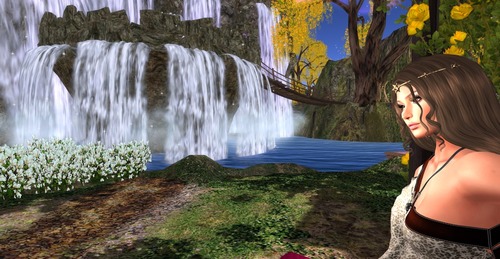 Web 58bd65d1e85cda24bc000001