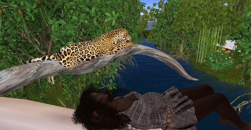 Web 58bddce5e85cda1c42000001