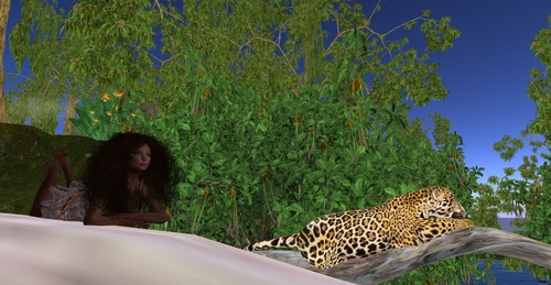 Web 58bddd2eb713f71a8c000001