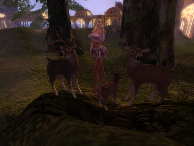 Original 5de1ba31d9859c142066499d