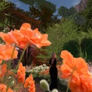 Thumb 58ca2faff8a1ec445f000001