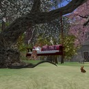 Thumb 58cd583ff8a1ec4050000001